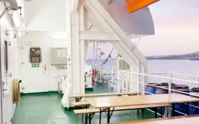 Cosmar pe o nava de croaziera. Un virus a ucis 3 pasageri blocati la bord