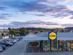 Un bulgar a umplut coșul la Lidl cu 31 de euro. Cât ar costa aceleași produse în România