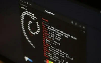 Alerta de securitate care vizeaza Romania. Defectiunea din Linux ofera hackerilor control total