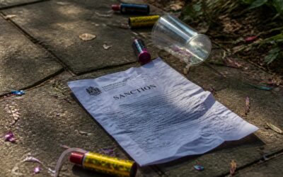 Amenzi de până la 12.000 de lei pentru petrecerile zgomotoase la curte în toată țara