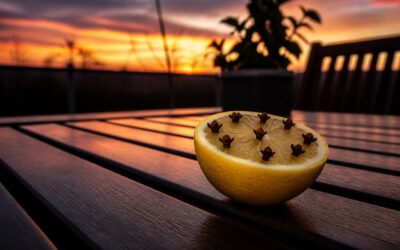 Lămâia cu cuișoare este folosită din nou vara pentru a ține țânțarii la distanță