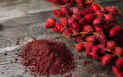 Sumacul este analizat pentru efecte asupra digestiei, pielii și imunității