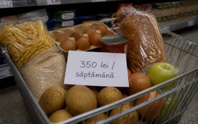 Cum se poate încadra o familie de patru persoane într-un buget alimentar de 350 de lei pe săptămână